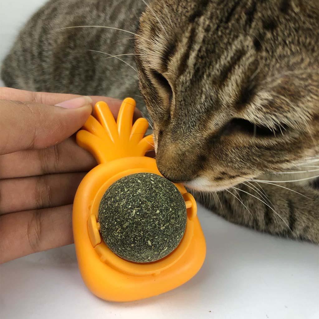 Bolita de Catnip forma de piña para gatos - Catifypty