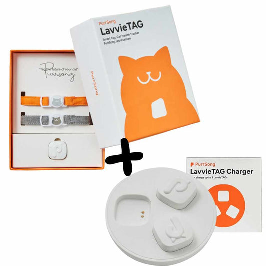 Kit LavvieTag + cargador